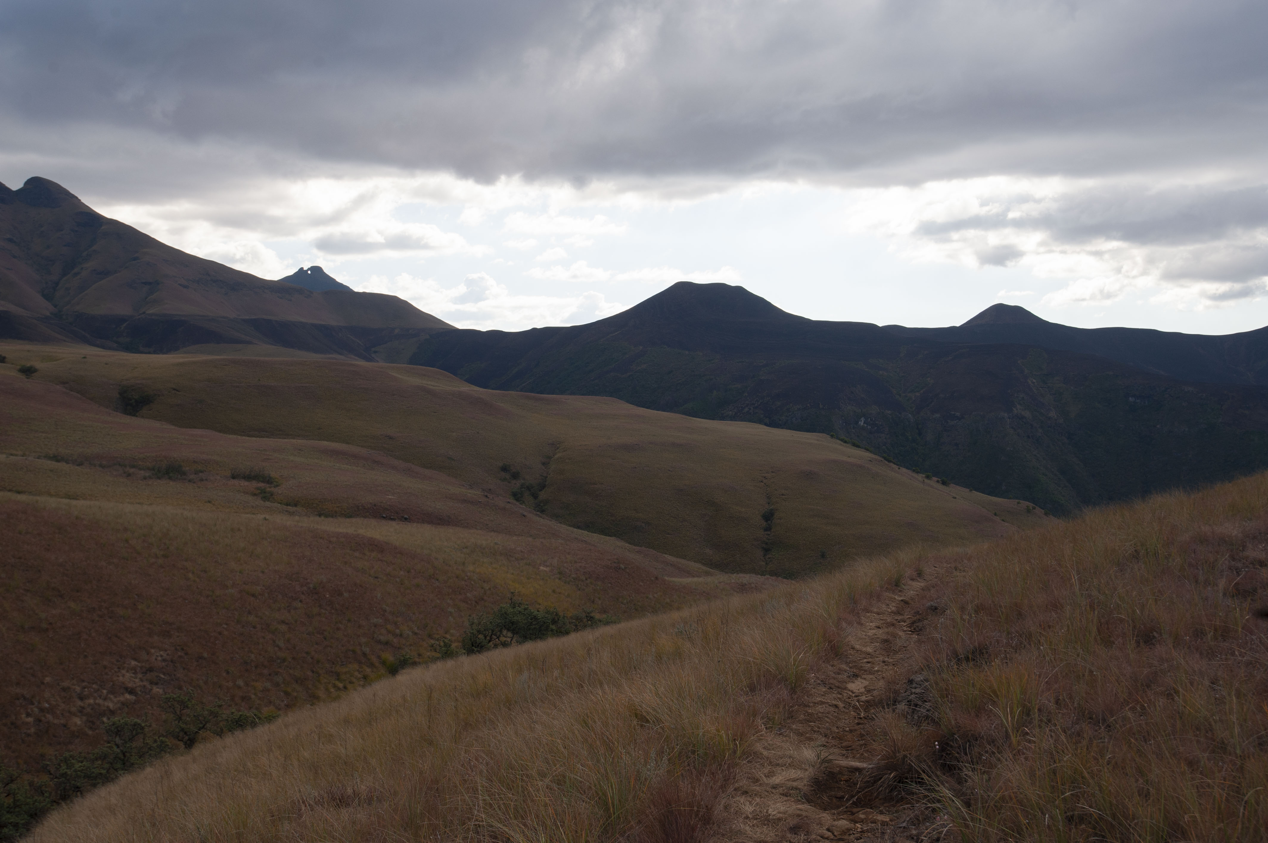 GYT 20220624 153532  DSC6051